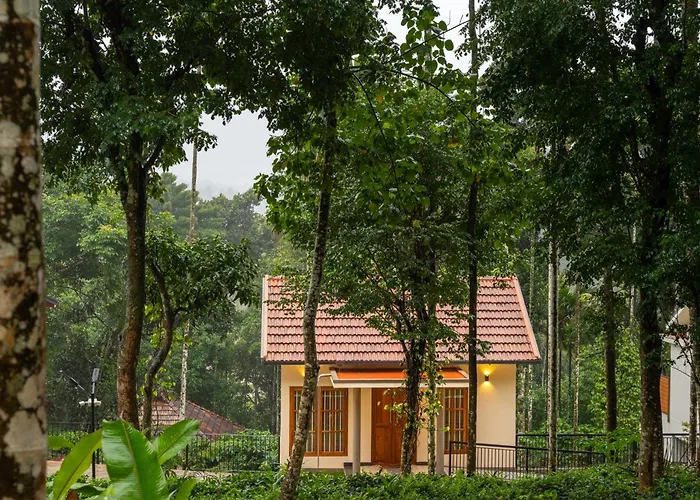 Theyila Wayanad Premium Pool Resort